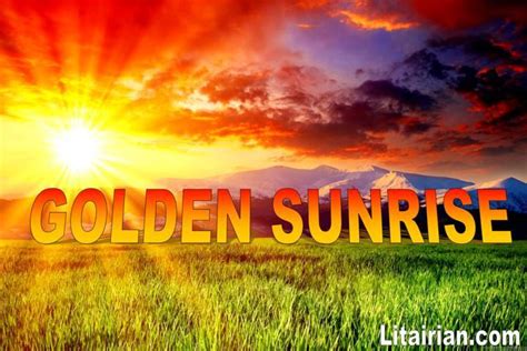 GOLDEN SUNRISE: .